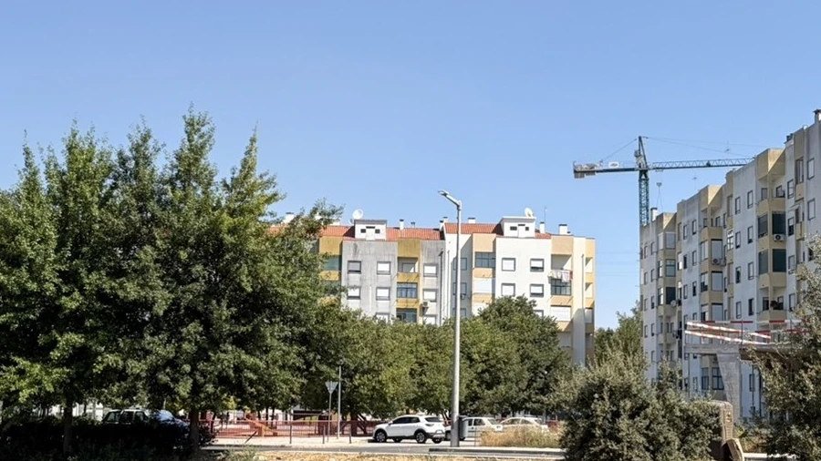 Terreno para Venda em Castelo Branco