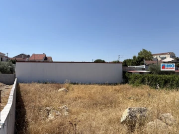 Terreno para Venda em Castelo Branco