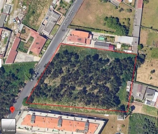 Terreno para Venda em Canelas