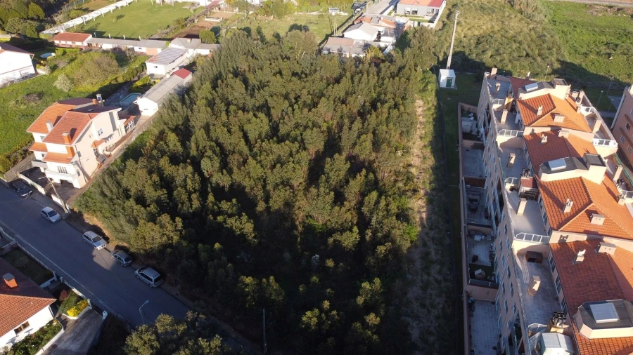 Terreno para Venda em Canelas Foto 6
