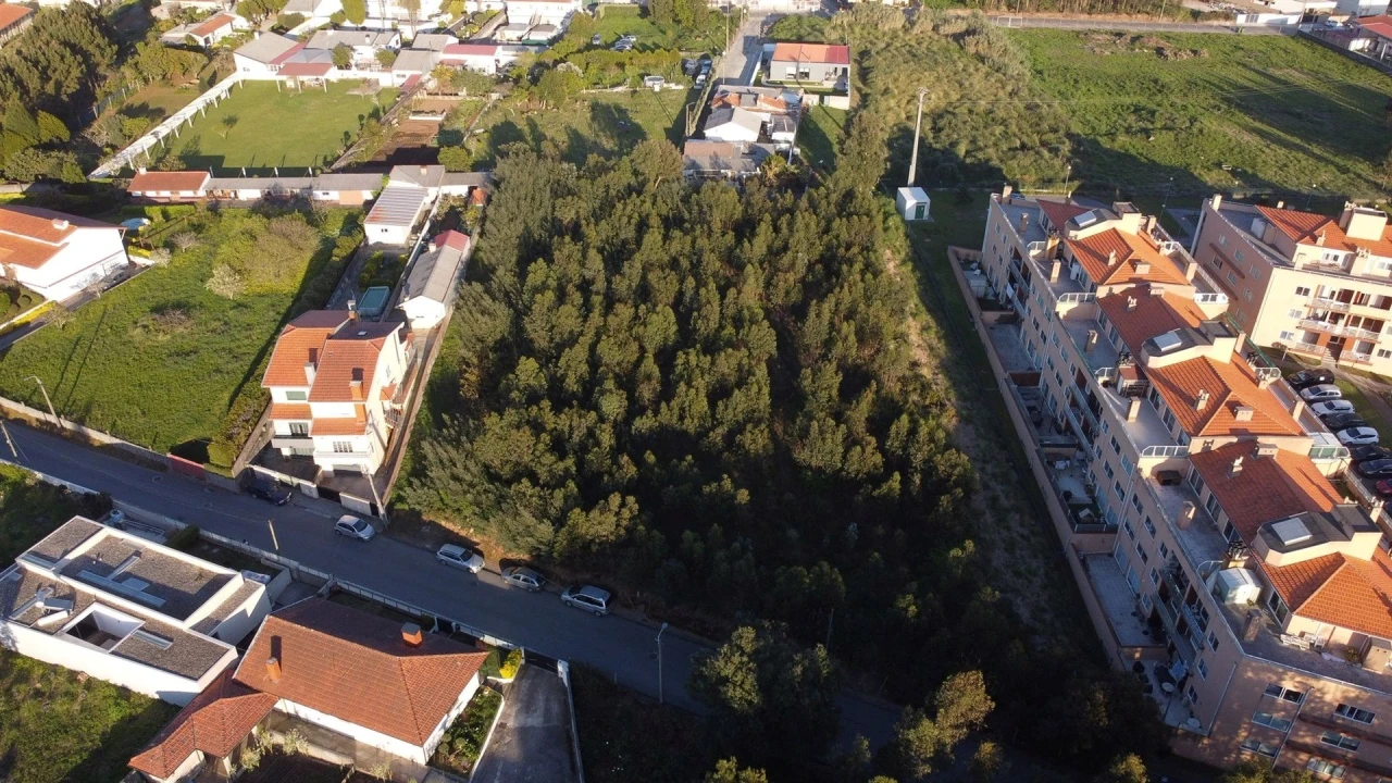 Terreno para Venda em Canelas Foto 17