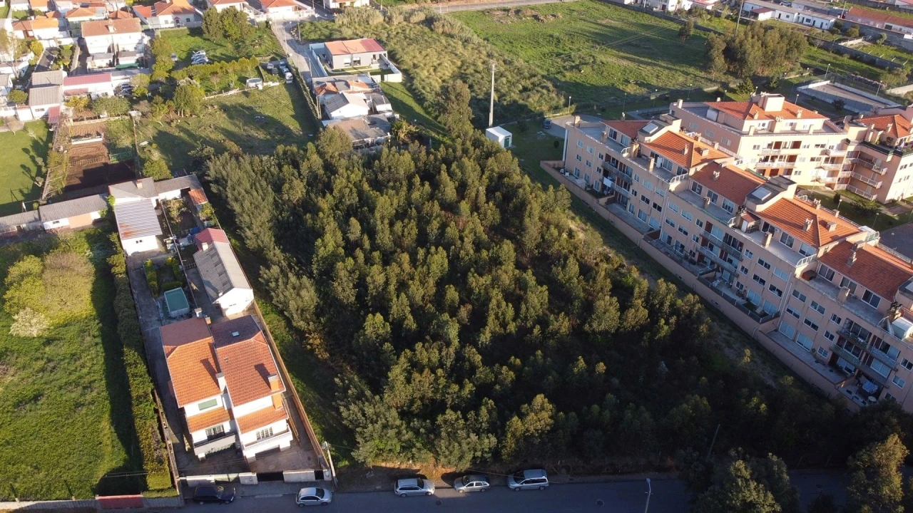 Terreno para Venda em Canelas Foto 16