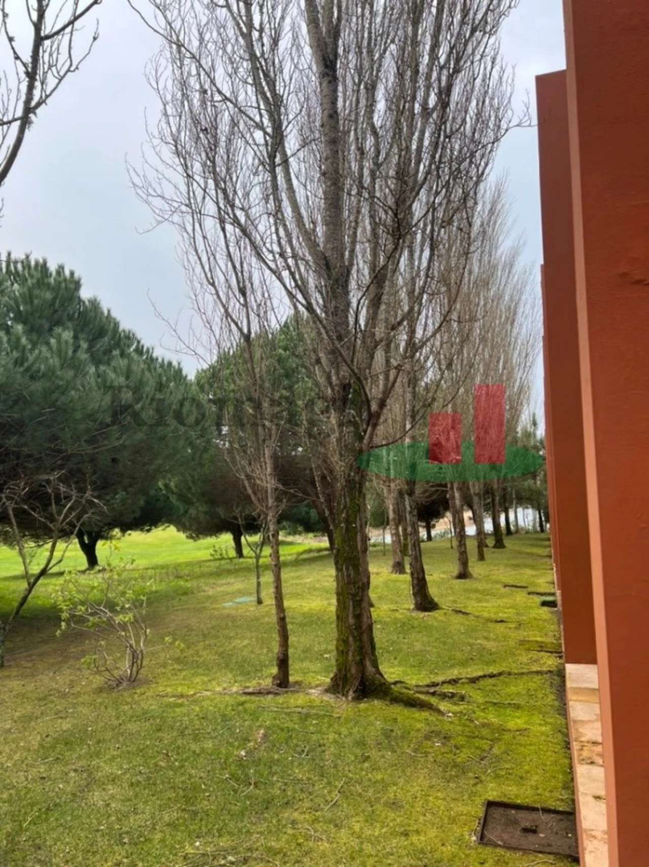 Moradia T2 para Venda em Vau Foto 11