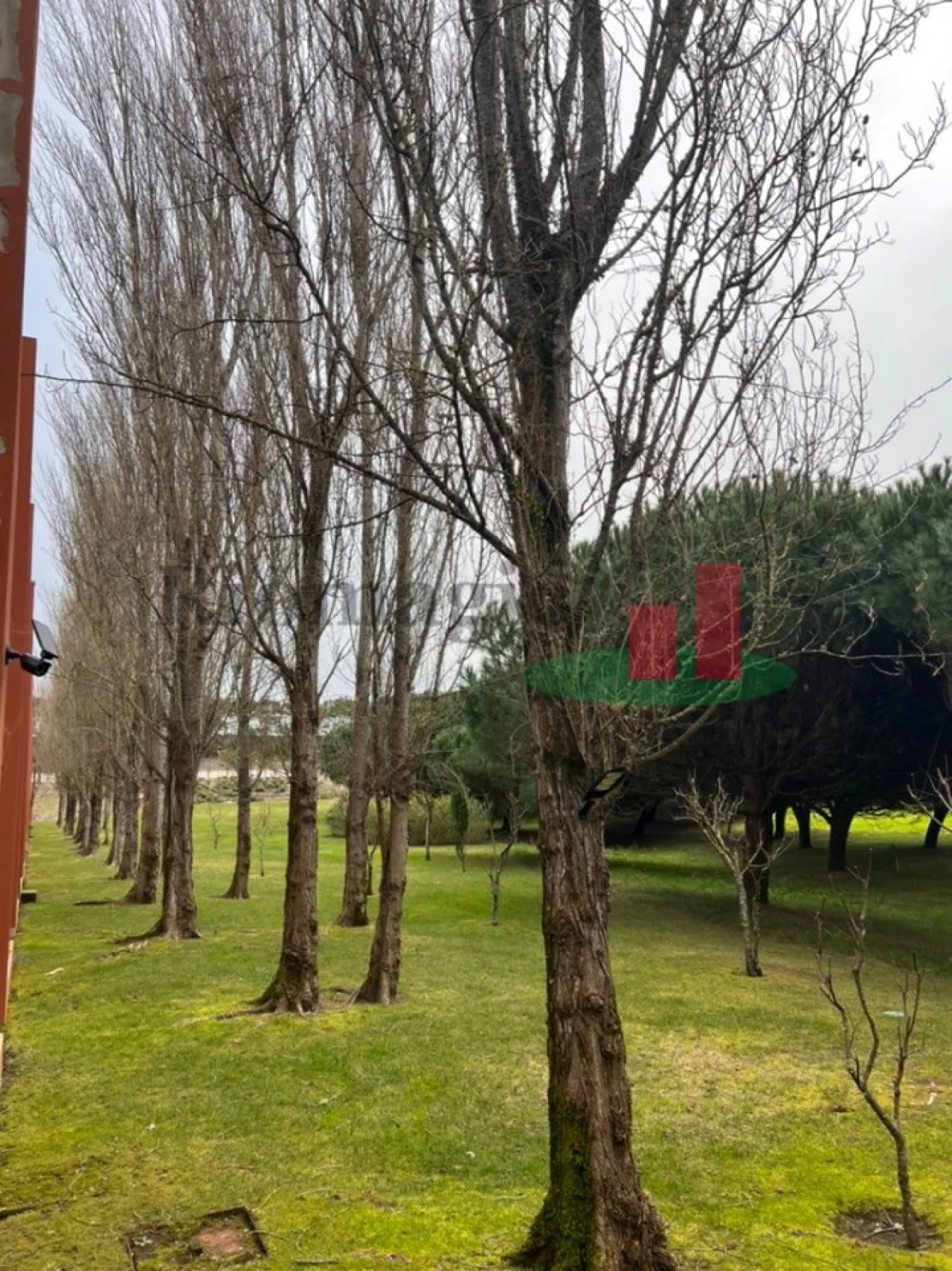 Moradia T2 para Venda em Vau Foto 12