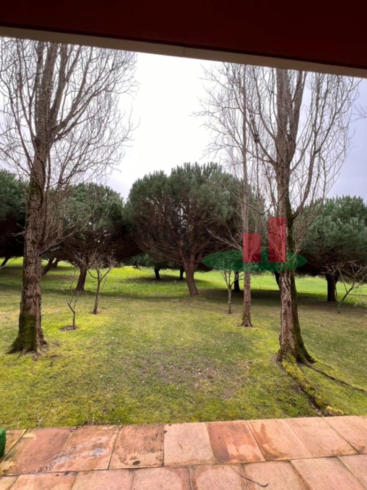 Moradia T2 para Venda em Vau Foto 13