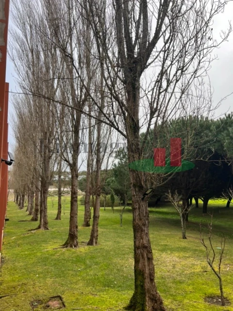 Moradia T2 para Venda em Vau