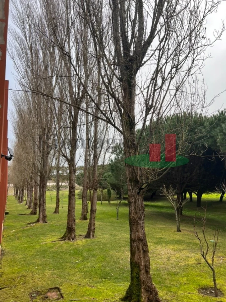 Moradia T2 para Venda em Vau Foto 12