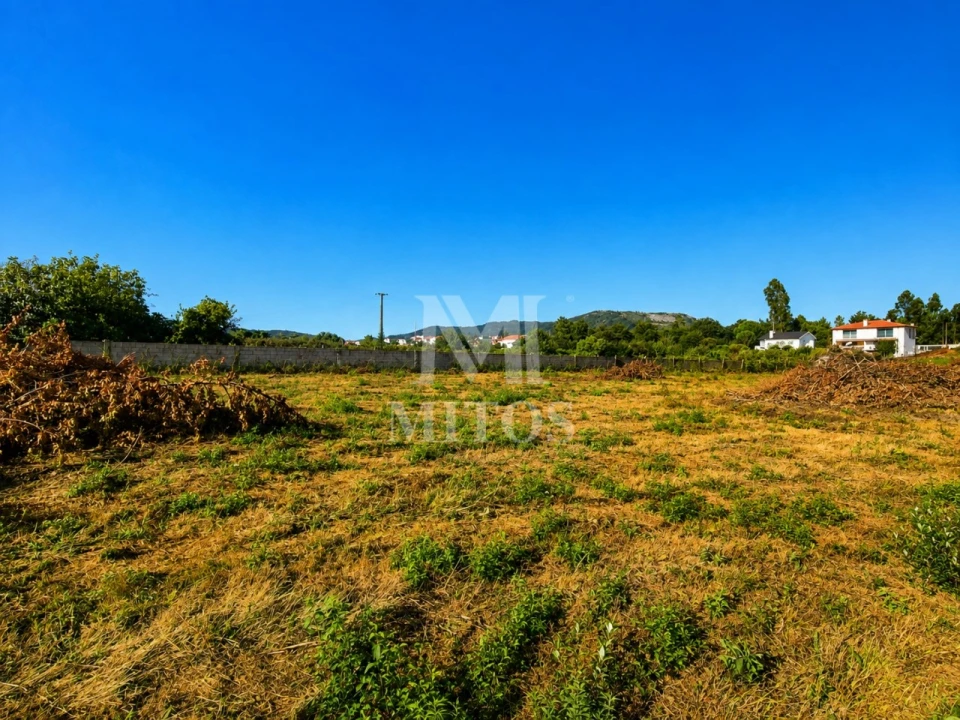 Terreno para Venda em Vila de Punhe Foto 4