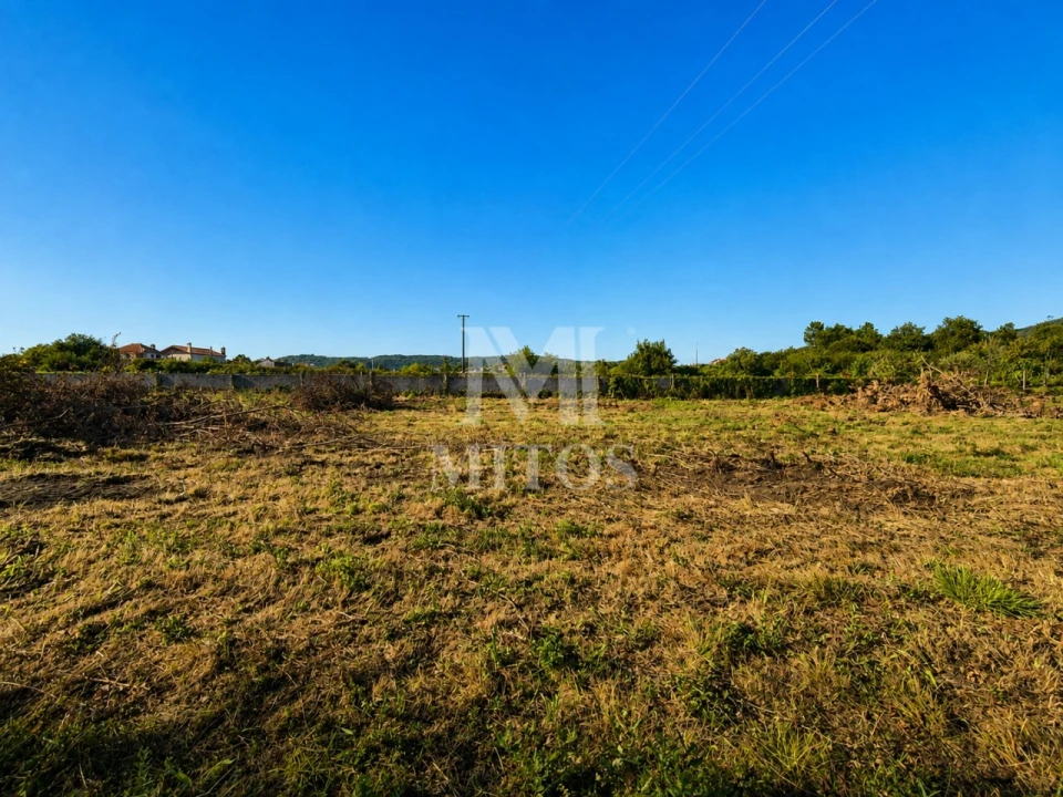 Terreno para Venda em Vila de Punhe Foto 8