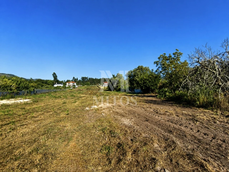 Terreno para Venda em Vila de Punhe Foto 9