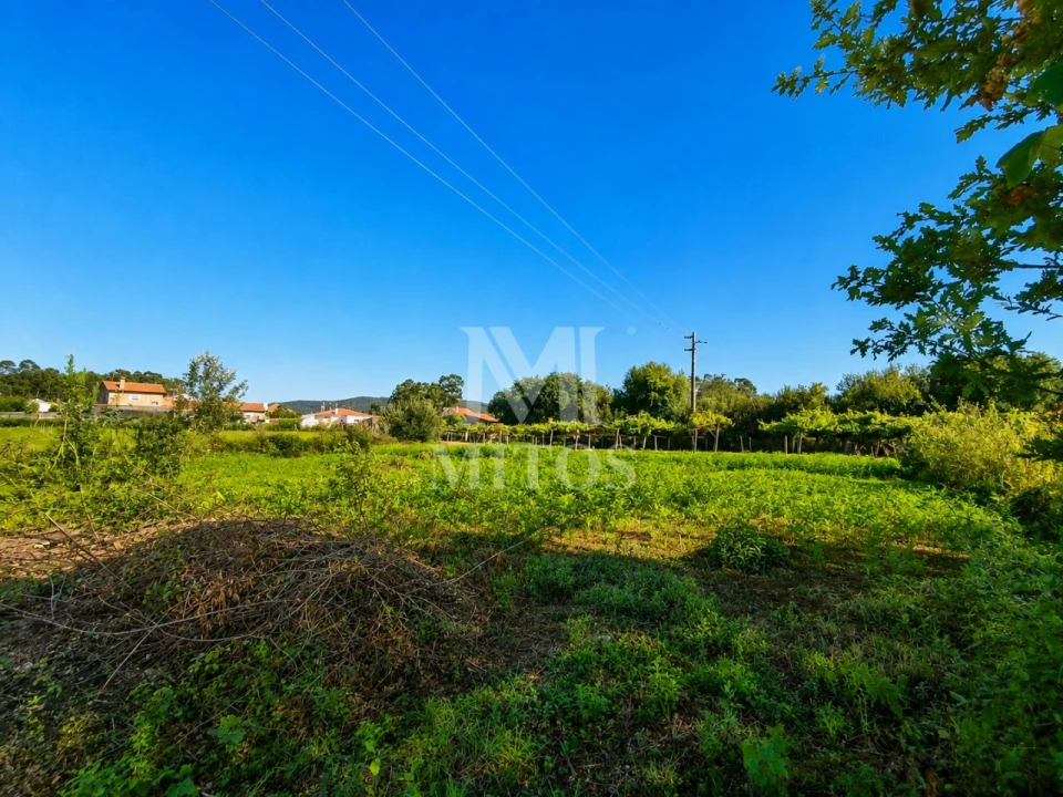 Terreno para Venda em Vila de Punhe Foto 11