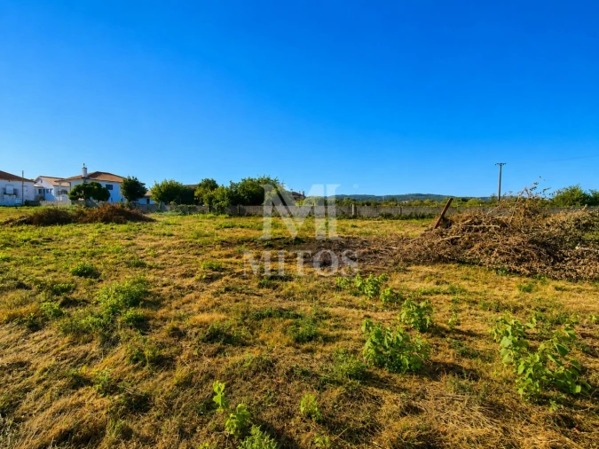 Terreno para Venda em Vila de Punhe Foto 6
