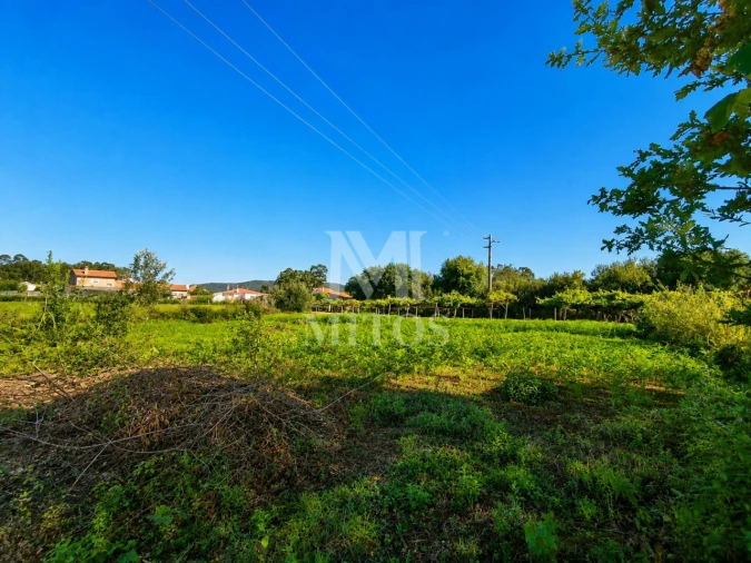 Terreno para Venda em Vila de Punhe Foto 11