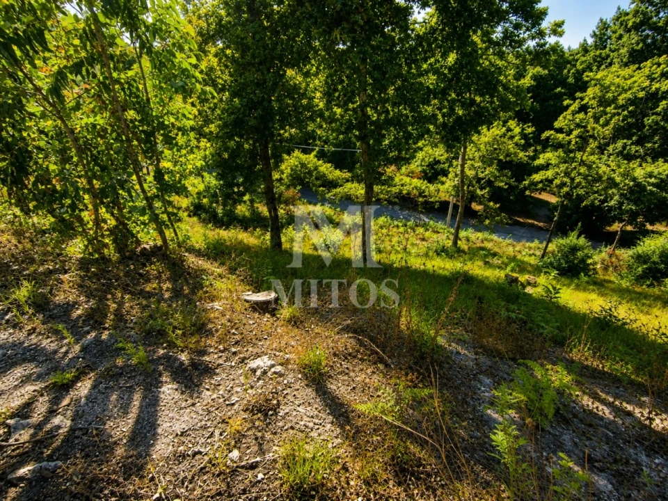 Terreno para Venda em Durrães e Tregosa Foto 8