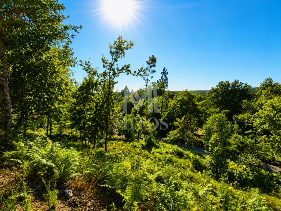 Terreno para Venda em Durrães e Tregosa Foto 10