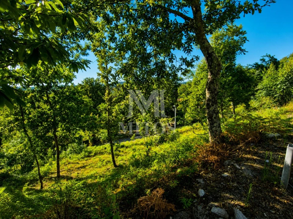 Terreno para Venda em Durrães e Tregosa Foto 11