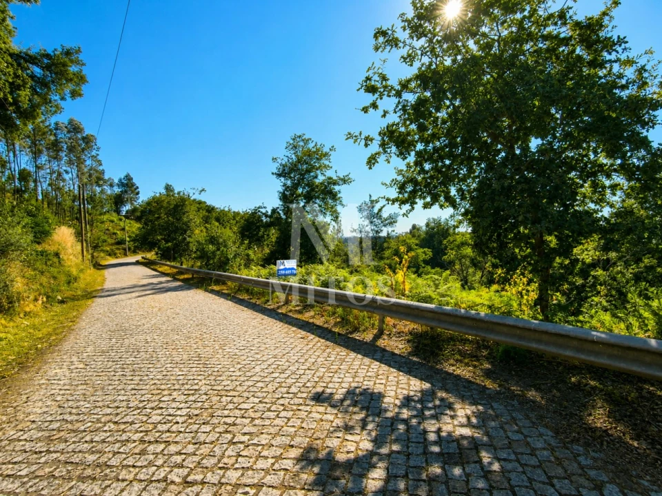 Terreno para Venda em Durrães e Tregosa Foto 12