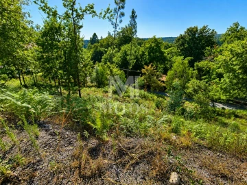 Terreno para Venda em Durrães e Tregosa