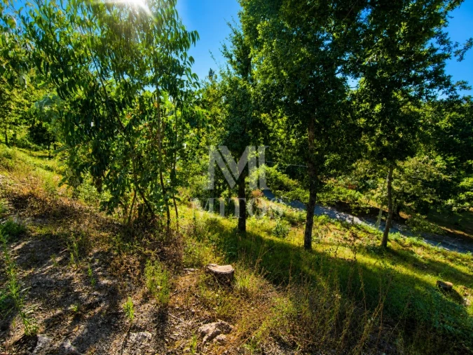 Terreno para Venda em Durrães e Tregosa Foto 4