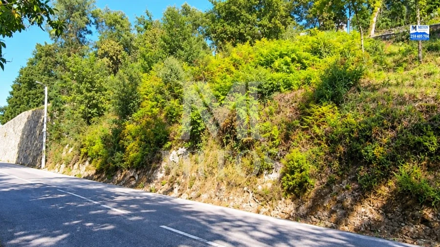 Terreno para Venda em Durrães e Tregosa