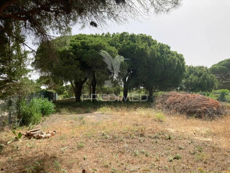 Terreno para Arrendamento em Almancil Foto 1