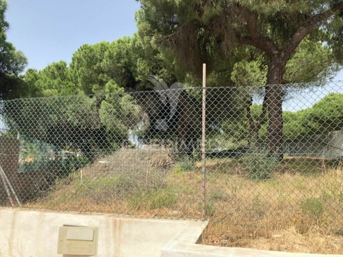 Terreno para Arrendamento em Almancil Foto 3