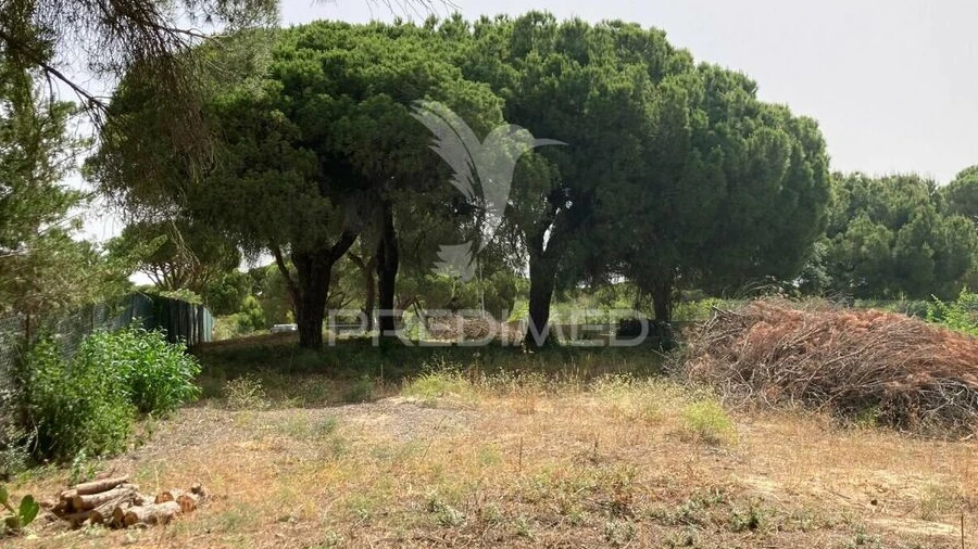 Terreno para Arrendamento em Almancil