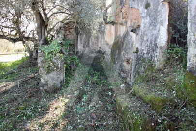 Terreno Misto para Venda em Aljezur