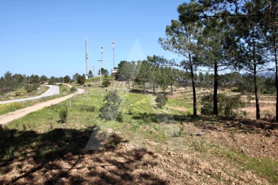 Terreno Misto para Venda em Aljezur