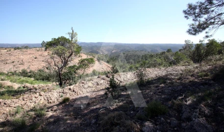 Terreno Misto para Venda em Aljezur