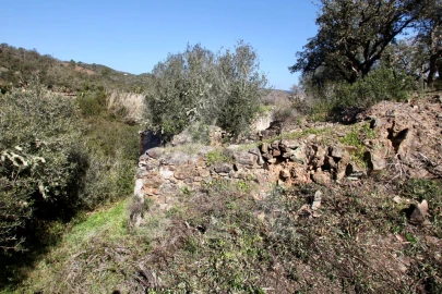 Terreno Misto para Venda em Aljezur