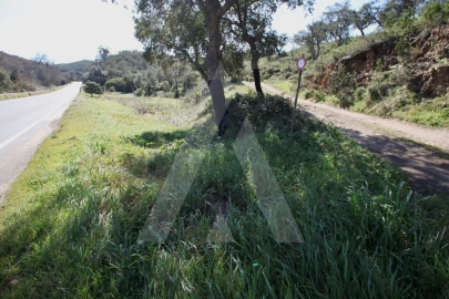 Terreno Misto para Venda em Aljezur