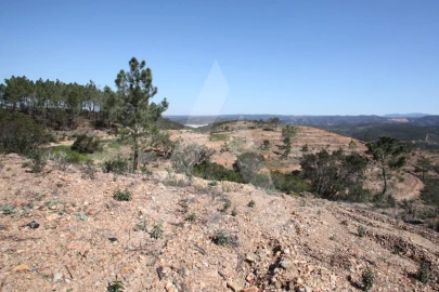 Terreno Misto para Venda em Aljezur