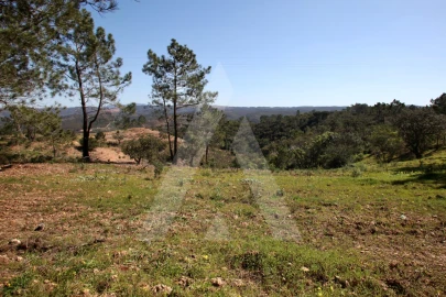 Terreno Misto para Venda em Aljezur