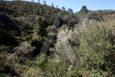 Terreno Misto para Venda em Aljezur