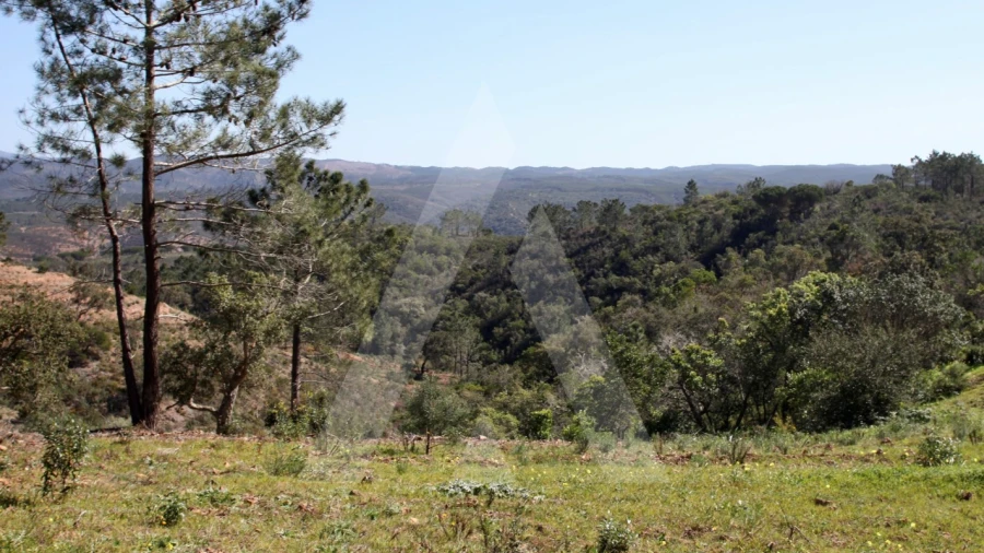Terreno Misto para Venda em Aljezur