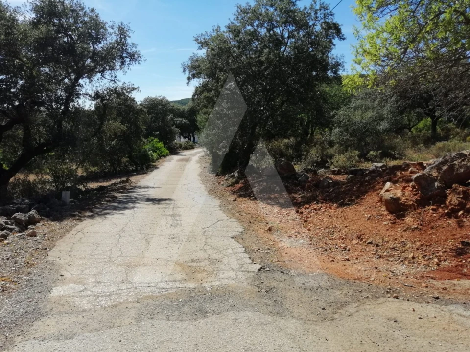 Terreno para Venda em Querença, Tôr e Benafim Foto 3
