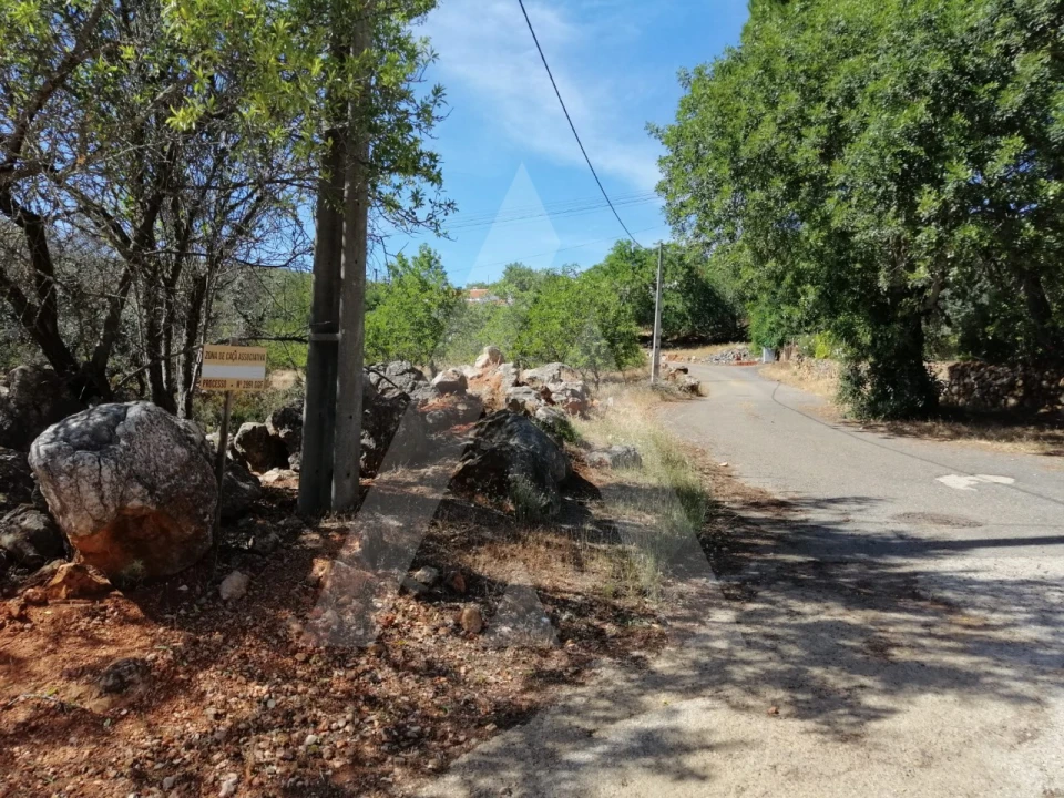 Terreno para Venda em Querença, Tôr e Benafim Foto 2