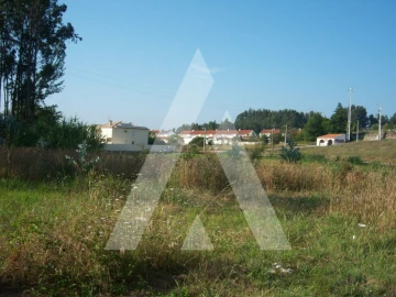 Terreno para Venda em Ílhavo (São Salvador)
