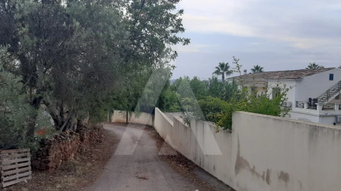 Terreno para Venda em São Brás de Alportel