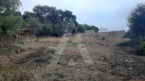 Terreno para Venda em São Brás de Alportel