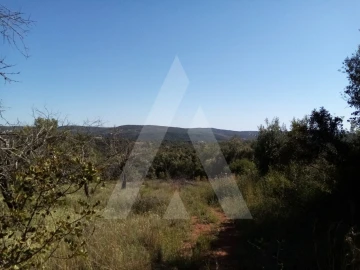 Terreno Misto para Venda em Querença, Tôr e Benafim