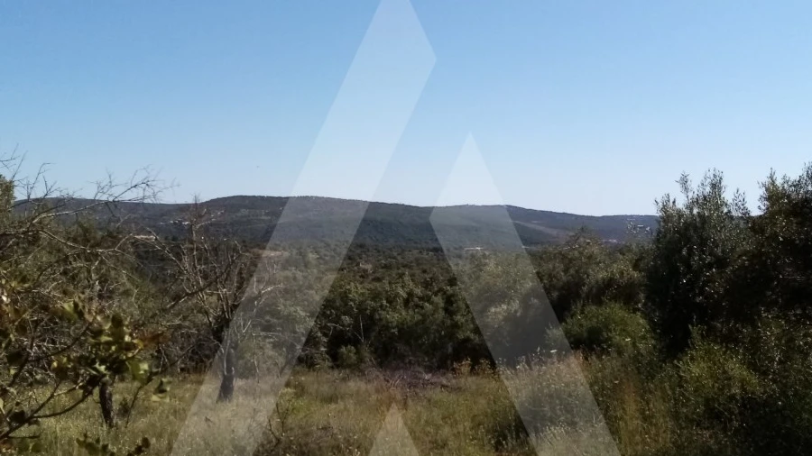 Terreno Misto para Venda em Querença, Tôr e Benafim