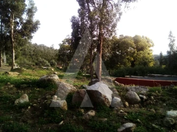 Terreno para Venda em Monchique