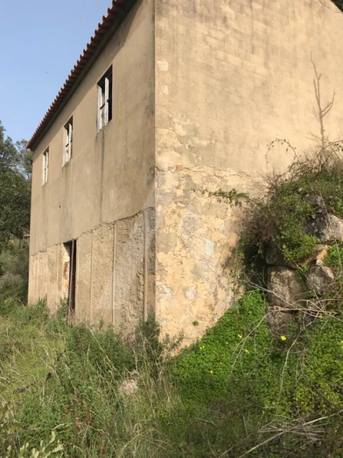 Terreno para Venda em Monchique