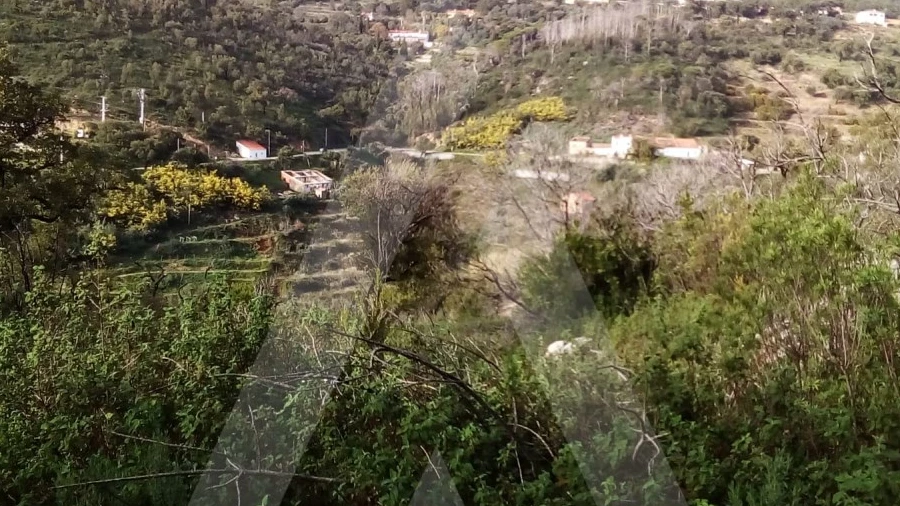 Terreno para Venda em Monchique
