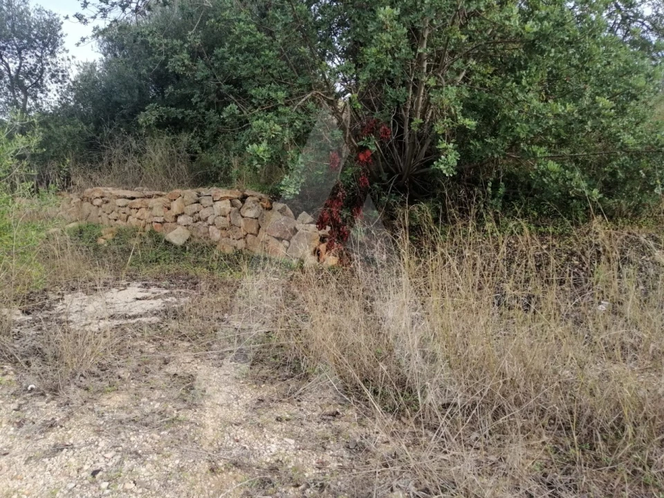 Terreno Agricola ou Rústico para Venda em Loule (São Sebastião) Foto 4