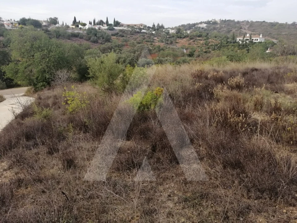 Terreno Agricola ou Rústico para Venda em Loule (São Sebastião) Foto 1