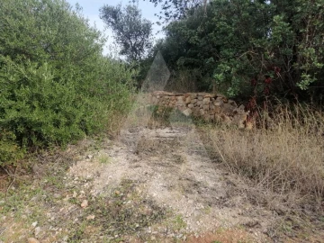 Terreno Agricola ou Rústico para Venda em Loule (São Sebastião)