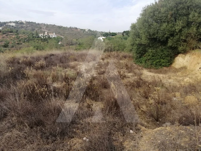 Terreno Agricola ou Rústico para Venda em Loule (São Sebastião) Foto 8